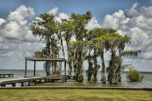 A wooden dock extends over water, surrounded by cypress trees draped in Spanish moss under a cloudy sky.