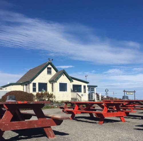A quaint building with a green roof and picnic tables in front, set against a clear blue sky.