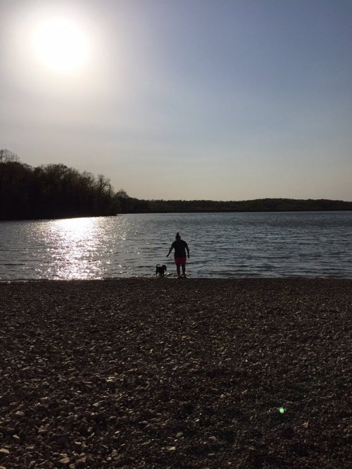 A person and a dog stand by a shimmering lake under a bright sun, with trees lining the distant shore.