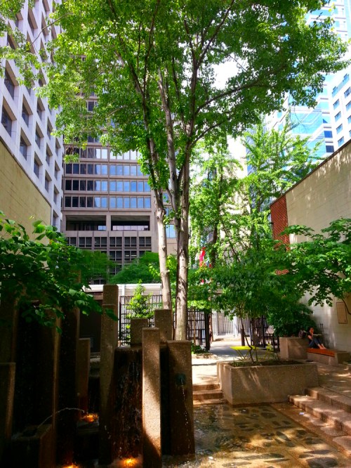 A serene urban courtyard with a tree, greenery, and a small water feature, surrounded by tall buildings.