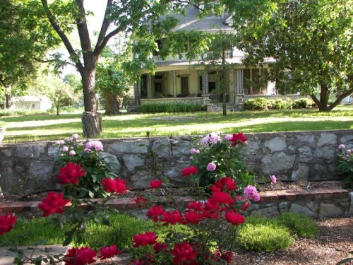A charming house surrounded by lush greenery and vibrant red and pink flowers in a sunny garden setting.