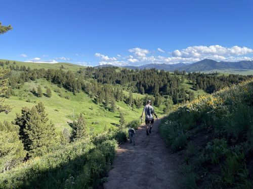 A person walks a dog along a trail in a lush green landscape with rolling hills and blue skies.