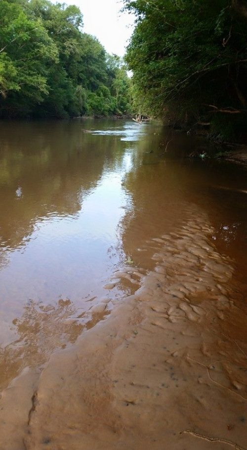 A calm river flows through a lush green landscape, with sandy banks and reflections on the water's surface.