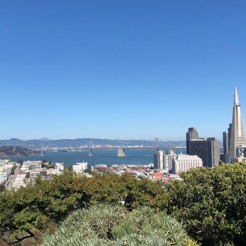 A clear blue sky over a city skyline with tall buildings and a bay, featuring bridges in the distance.
