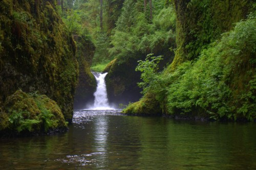A serene waterfall cascades into a tranquil pool, surrounded by lush green foliage and moss-covered rocks.