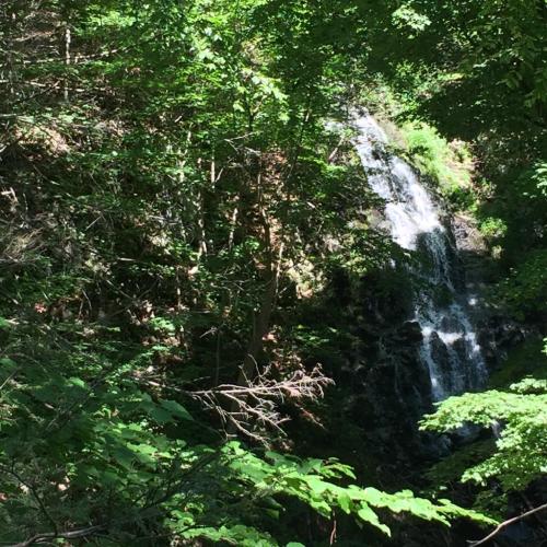 A serene waterfall cascading down rocks, surrounded by lush green foliage in a forest setting.