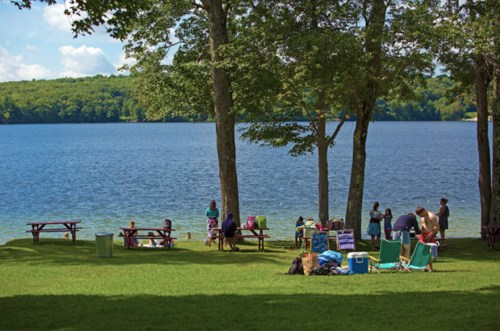A lakeside scene with people gathered around picnic tables, enjoying a sunny day by the water under leafy trees.