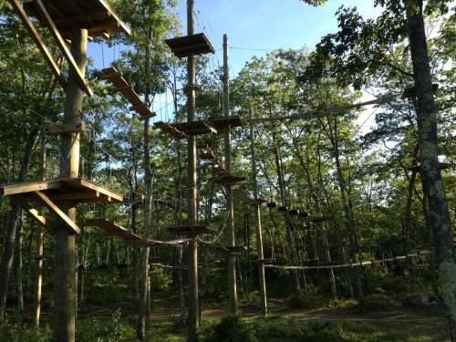 A treetop adventure course with wooden platforms and ropes, surrounded by lush green trees under a clear blue sky.