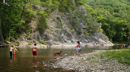 A group of people wade in a river by rocky cliffs, with a dog nearby and lush greenery in the background.