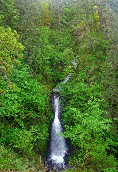 A serene waterfall cascades through lush green foliage in a dense forest.