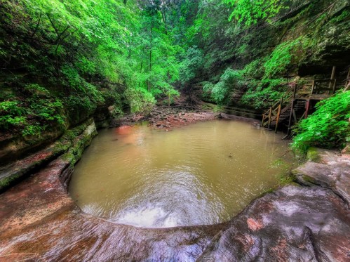 A serene, green forest surrounds a calm, muddy pool of water, with rocky edges and a wooden staircase nearby.
