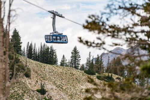 A gondola lifts above a mountainous landscape, surrounded by trees and under a cloudy sky.