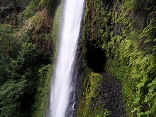 A cascading waterfall surrounded by lush greenery and moss-covered rocks in a serene natural setting.