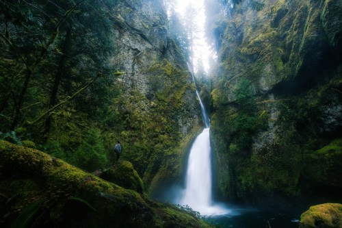 A serene waterfall cascades down moss-covered cliffs, surrounded by lush greenery and misty light.