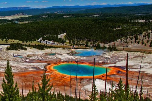 Aerial view of Yellowstone's Grand Prismatic Spring, showcasing vibrant blue and orange colors amidst a forested landscape.