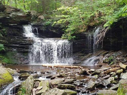A serene waterfall cascades over rocky ledges, surrounded by lush green trees and a peaceful forest setting.