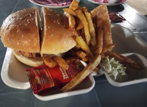 A plate with a sesame seed bun sandwich, fries, and dipping sauce on the side.