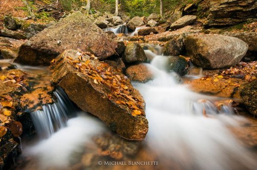 A serene stream flows over smooth rocks, surrounded by autumn leaves and lush greenery in a tranquil forest setting.