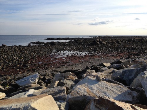 Rocky shoreline with calm water and a cloudy sky in the background.