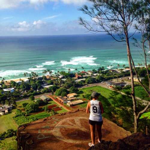 A person stands on a cliff overlooking a coastal landscape with waves, greenery, and houses below.