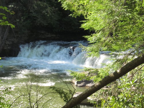 A serene waterfall cascades into a calm river, surrounded by lush green trees and foliage.