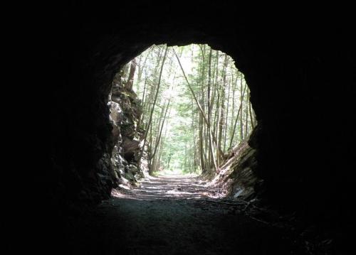 View from inside a dark cave, looking out to a sunlit forest path lined with trees.