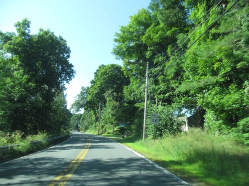 A winding road lined with lush green trees and a road sign indicating the number 116.