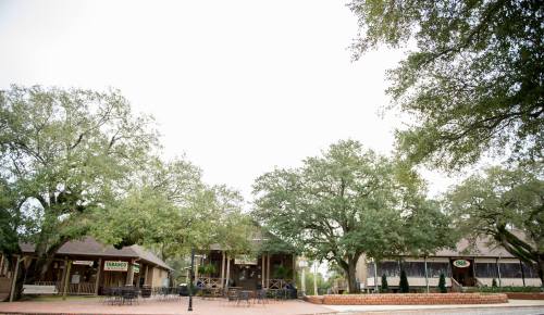 A quaint outdoor area with trees, shops, and seating, creating a charming, inviting atmosphere.
