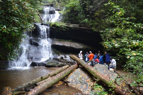 A group of people gathers near a waterfall in a lush, green forest, with logs and rocks in the foreground.