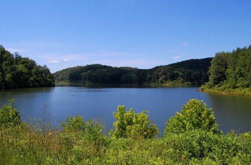 A serene lake surrounded by lush green trees under a clear blue sky.