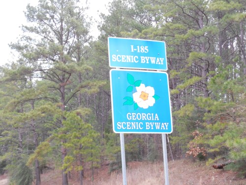 Blue signs for I-185 Scenic Byway and Georgia Scenic Byway, surrounded by pine trees.