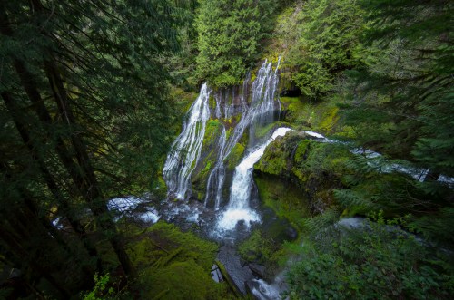 A serene waterfall cascades over moss-covered rocks, surrounded by lush green trees in a tranquil forest setting.