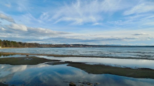 A serene lakeside view with calm water reflecting clouds and distant hills under a blue sky.