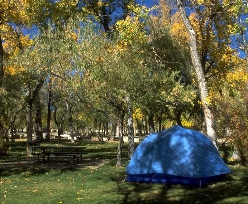 A blue tent nestled among trees with autumn foliage in a peaceful park setting.