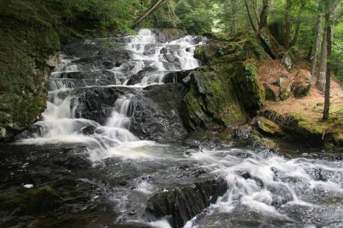 A serene waterfall cascading over rocky terrain, surrounded by lush green trees and foliage.
