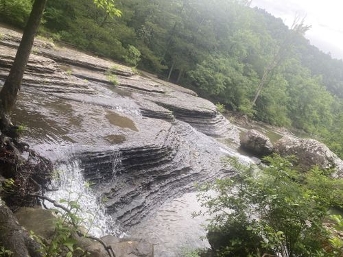 A serene waterfall cascades over layered rock formations, surrounded by lush green trees and foliage.