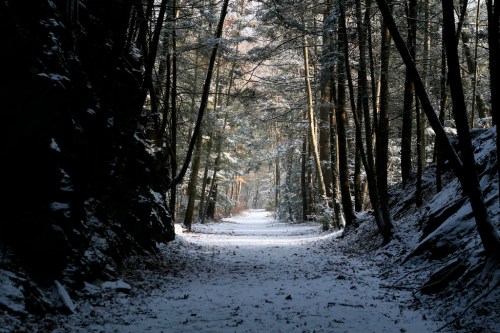 A snow-covered path winds through a forest, flanked by tall trees and rocky walls, illuminated by soft winter light.