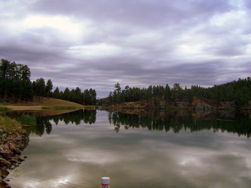 A serene lake surrounded by trees under a cloudy sky, reflecting the landscape on its calm surface.