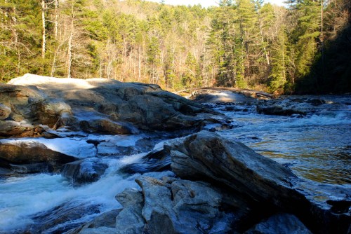 A serene river flows over rocky terrain, surrounded by lush green trees and sunlight filtering through the forest.