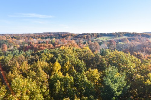 A vibrant autumn landscape with colorful trees under a clear blue sky.