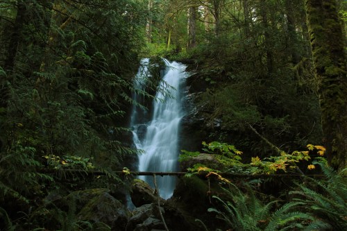 A serene waterfall cascades down rocky terrain, surrounded by lush green trees and foliage in a tranquil forest setting.