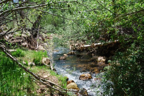 A serene stream flows through a lush green landscape, surrounded by trees and rocks.