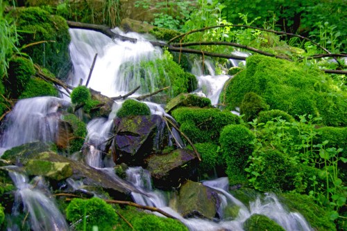 A serene waterfall cascades over moss-covered rocks, surrounded by lush green foliage.