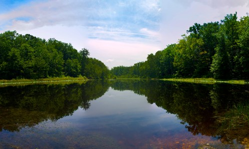A serene lake surrounded by lush green trees, reflecting the sky and foliage in calm waters.