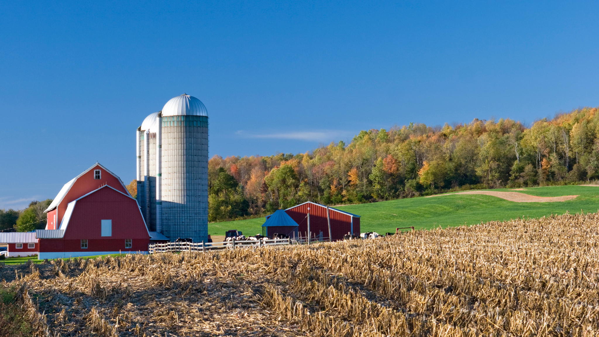 15 More Charming Farms In Minnesota That Will Make You Love The Country 15 More Charming Farms In Minnesota That Will Make You Love The Country