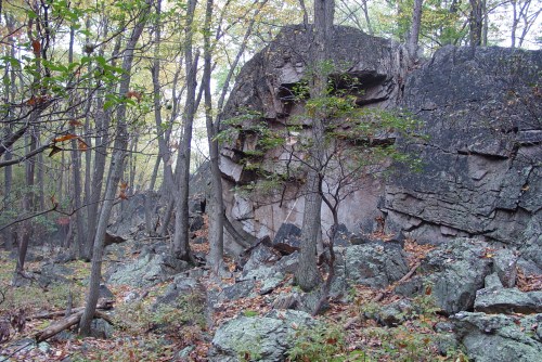 A rocky outcrop surrounded by trees and foliage in a forested area, with scattered rocks on the ground.