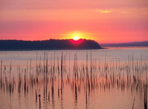 A serene sunset over a calm lake, with silhouetted reeds rising from the water against a colorful sky.
