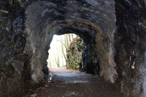 A rocky tunnel with a lighted exit, surrounded by trees and wet ground, creating a natural pathway.