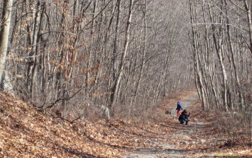Two people walking along a leaf-covered trail in a wooded area with bare trees in early spring.