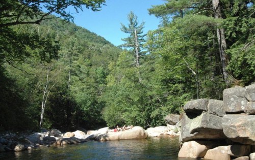A serene river scene surrounded by lush green trees and rocky banks under a clear blue sky.